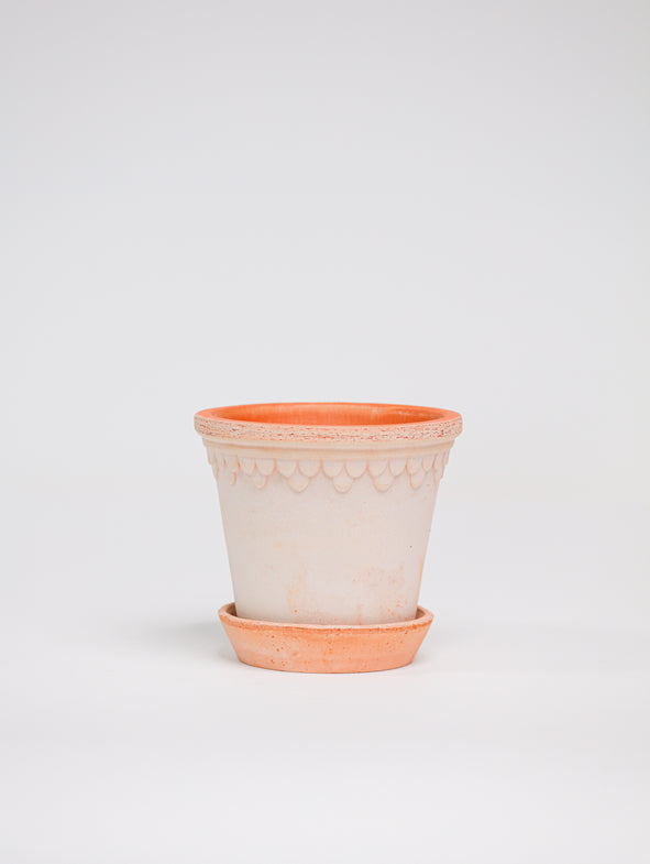 Copenhagen - Rosa - Herb